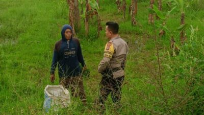 Ketahanan Pangan di Labuapi, Peran Aktif Polisi Jaga Stabilitas Harga