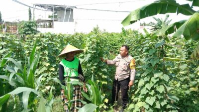 Polsek Labuapi Dukung Ketahanan Pangan, Bhabinkamtibmas Ajak Warga Manfaatkan Lahan Kosong