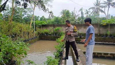 Ketahanan Pangan Dimulai dari Dusun Pesongoran, Lombok Barat