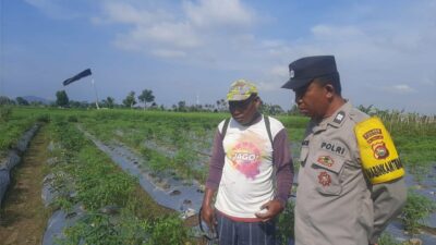Bhabinkamtibmas Montong Are Dorong Swasembada Pangan di Kediri Lombok Barat