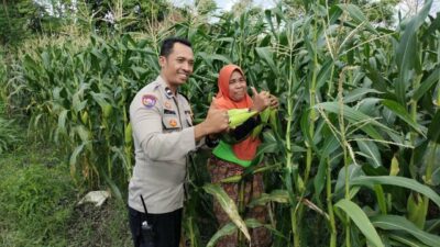 Pekarangan Produktif, Desa Aman: Inisiatif Ketahanan Pangan Bhabinkamtibmas Labuapi