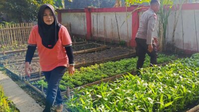 Sinergi Polri dan Masyarakat Kuripan Utara: Dari Pekarangan Menuju Ketahanan Pangan Keluarga