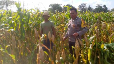 Bhabinkamtibmas Dorong Pemanfaatan Lahan untuk Ketahanan Pangan di Dusun Tambang Eleh