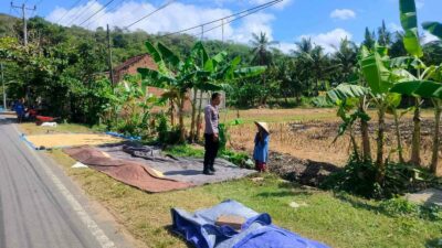 Sinergi Polri dan Petani Dusun Eyat Mayang Perkuat Program Ketahanan Pangan Nasional