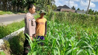 Kepolisian Kediri Bina Petani Jagung Gelogor, Perkuat Ekonomi dan Pangan Lokal
