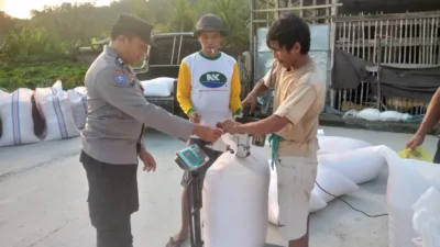 Polsek Kuripan Dorong Ketahanan Pangan Melalui Pendampingan Petani Jagung di Gerung