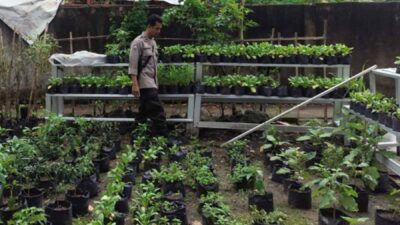 Polsek Labuapi Dorong Ketahanan Pangan di Desa Bengkel